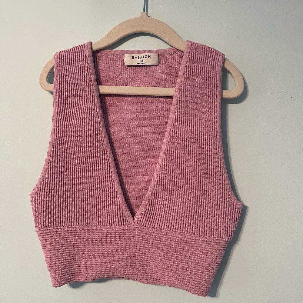 Aritzia Babaton V-Neck Going Out Top.